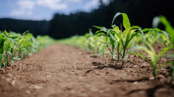 Nanopesticidades e nanofertilizantes também são benéficos aos trabalhadores do campo, segundo pesquisadores