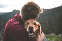 Luto pelo pet: como superar a perda do seu bicho de estimação?