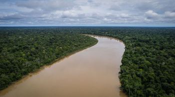 Congressistas aprovaram, na quinta-feira (7), um texto que aborda a situação de indígenas e ambientalistas no Brasil; Ministério das Relações Exteriores respondeu