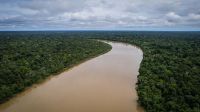 Servidor diz que Funai tem 23 funcionários para patrulhar terra indígena com 10 milhões de hectares no Amazonas