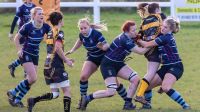 Mulheres trans são proibidas de jogar na liga internacional de rugby feminino