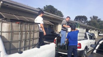 Operação no Paraná retirou 4,2 mil frascos de 500 ml de azeite falsificado das prateleiras dos supermercados, atacadistas e distribuidores