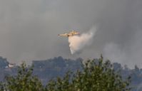 Como a máfia da Itália está convertendo os incêndios florestais em armas