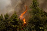 Grécia combate incêndio que forçou evacuação na ilha de Lesbos