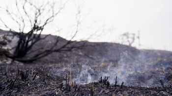 Apesar das tentativas de conter os incêndios, os ventos fortes estão dificultando o trabalho da autoridade em algumas localidades