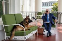 Joe Biden enfrenta Covid com ajuda do cachorro e de livros sobre a Irlanda