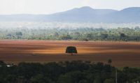 Cerrado precisa de equilíbrio entre preservação e atividade econômica, diz pesquisador