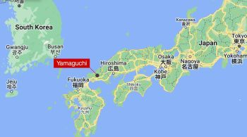 Desde 8 de julho, pelo menos 45 pessoas foram feridas por macacos-japoneses -- também conhecidos como macacos-do-japão -- na cidade de Yamaguchi e em seus arredores