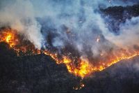 Novo relatório diz que meio ambiente da Austrália é ‘pobre e está se deteriorando’