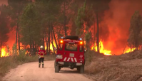 Europa enfrenta incêndios florestais com calor intenso