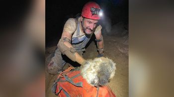 Um espeleólogo que mapeava o local conduziu a operação de resgate do cão, que estava desaparecido desde 9 de junho