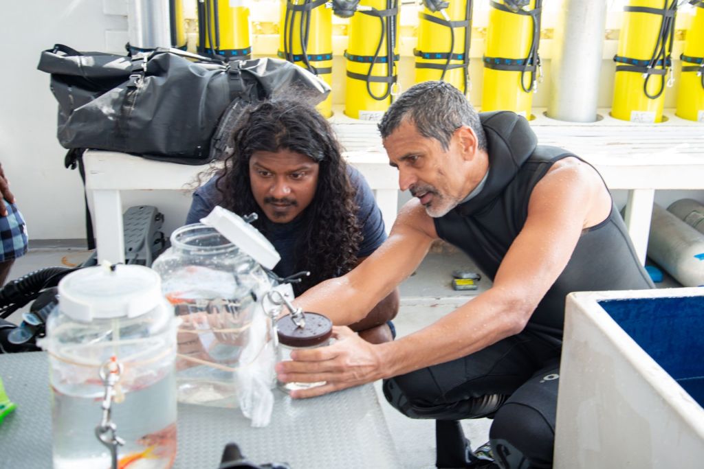 Ahmed Najeeb (à esquerda) e Luiz Rocha inspecionam espécimes de peixes durante uma recente expedição nas Maldivas.