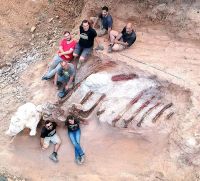 Português descobre caixa torácica de dinossauro enterrada em seu quintal