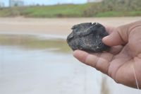 Resíduos de óleo são encontrados em praias do Nordeste