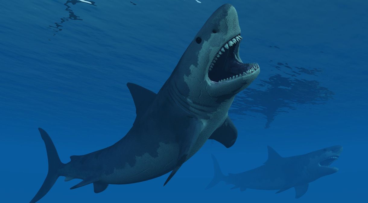 Ilustração de um megalodonte: tubarão foi extinto há cerca de 3,6 milhões de anos, de acordo com o Museu de História Natural do Reino Unido, por razões que cientistas ainda não entendem