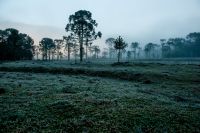 Massa de ar frio causa queda de temperatura no Sul, Sudeste e Centro-Oeste