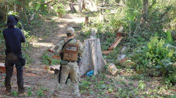 Operação também tenta retirar cabeças de gado deixadas na Terra Indígena Trincheira Bacajá, no município de São Félix do Xingu