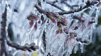 Avanço de uma intensa frente fria provocou significativa queda nas temperaturas na região 