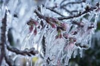 Frio intenso segue no Sul do Brasil nesta sexta-feira (12); veja mínimas