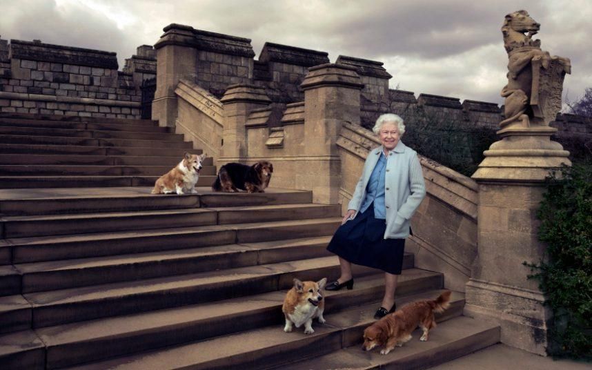 Rainha Elisabeth II do Reino Unido com seus cachorros da raça Corgi