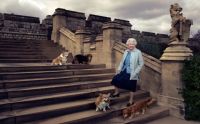 Corgis da rainha vão morar com o duque e a duquesa de York