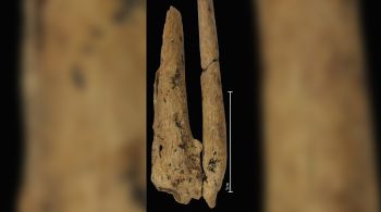 Usando técnicas de datação por radiocarbono, os cientistas estimam que o corpo permaneceu intocado por 31 mil anos dentro da caverna Liang Tebo, na província oriental de Kalimantan, em Bornéu