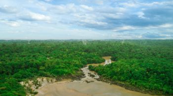 Com dois projetos recém-verificados e prontos para comercialização, a Biofílica Ambipar, eleita quatro vezes como a melhor desenvolvedora de projetos de carbono florestal do mundo, amplia a área conservada na Amazônia para mais de 2 milhões de hectares e aumenta sua contribuição no desenvolvimento de um mercado sólido e confiável de nature-based solutions.