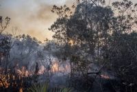 Fogo no Parque Nacional de Brasília atinge área igual a 5.000 campos de futebol