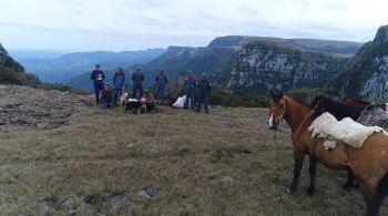 Corpo de Bombeiros foi acionado para o resgate e, com a ajuda de um drone, foi possível salvar os animais