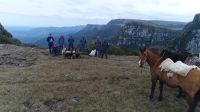 Cães sobrevivem a queda de 200 metros em cânion na Serra Catarinense