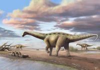 Cientistas descobrem nova espécie de dinossauro anão no interior de SP