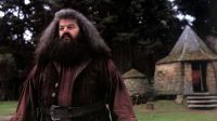 Ator Robbie Coltrane, o Hagrid de Harry Potter, morre aos 72 anos