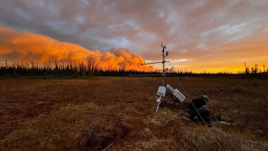  Em meados de setembro, a fumaça de um incêndio era visível atrás de uma torre de monitoramento do permafrost na Scotty Creek Research Station, nos Territórios do Noroeste do Canadá. A própria torre queimou em outubro devido a atividades incomuns de incêndio não provocado