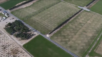 Técnicas são utilizadas para cultivar e manter a grama no país de clima desértico; reserva de grama equivalente a 40 campos de futebol está crescendo em uma fazenda em Doha