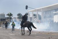 PM do DF diz que policial e cavalo atacados estão bem e já voltarão às ruas