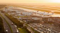 Três ursos morrem de frio dentro de avião em aeroporto na Bélgica