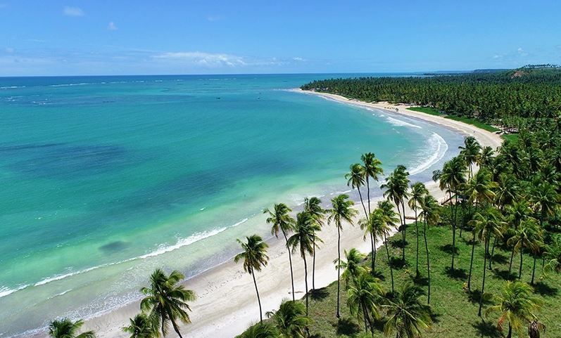 Praia do Patacho, em Alagoas: tons de verde representam mais vida marinha.