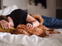 Saiba como controlar o sono após o almoço