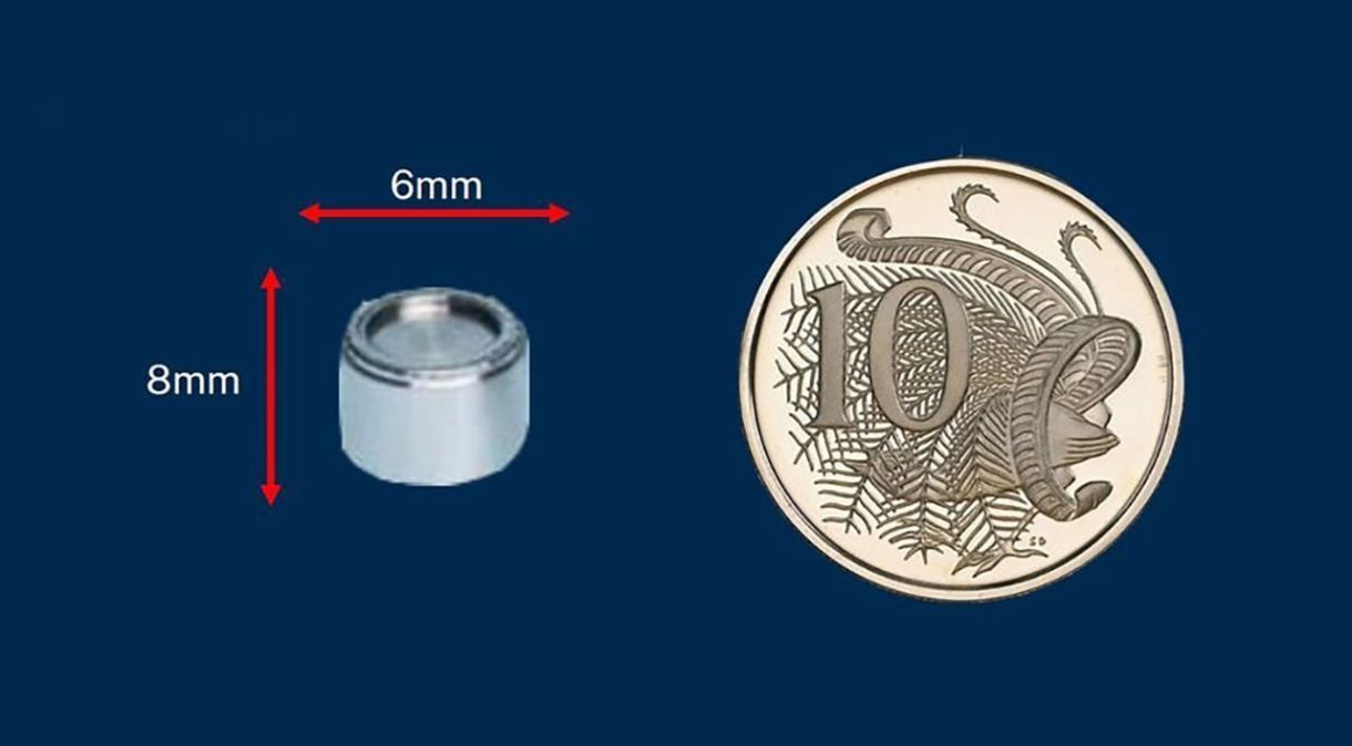 Uma ilustração fornecida pelo Departamento de Saúde da Austrália Ocidental mostra o tamanho da cápsula em comparação com uma moeda