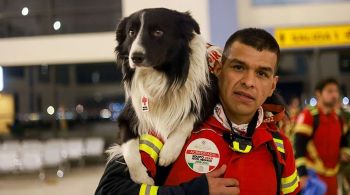 País é famoso por seus cães de busca e resgate altamente treinados e especializados; 16 animais participarão dos trabalhos