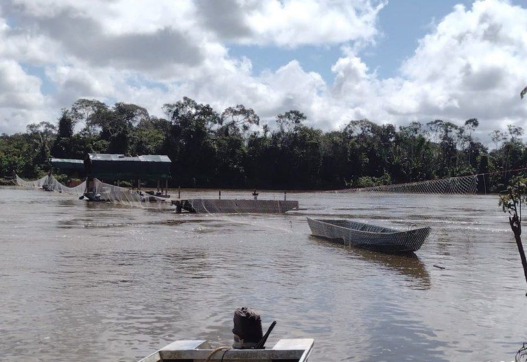 Base federal na aldeia Palimiú, na Terra Indígena Yanomami, em Roraima