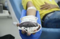 PEC do Plasma prevê venda de parte do sangue humano; projeto divide o Senado