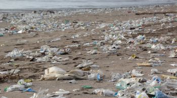 Índice de Fabricantes de Resíduos Plásticos constatou que mundo gerou 139 milhões de toneladas métricas de resíduos plásticos descartáveis em 2021