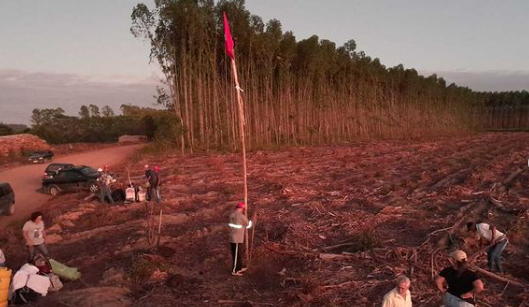 Ocupação do MST em fazendas da Suzano no sul da Bahia