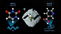 Composto de RNA e vitamina B3 são encontrados em amostras de asteroide próximo à Terra