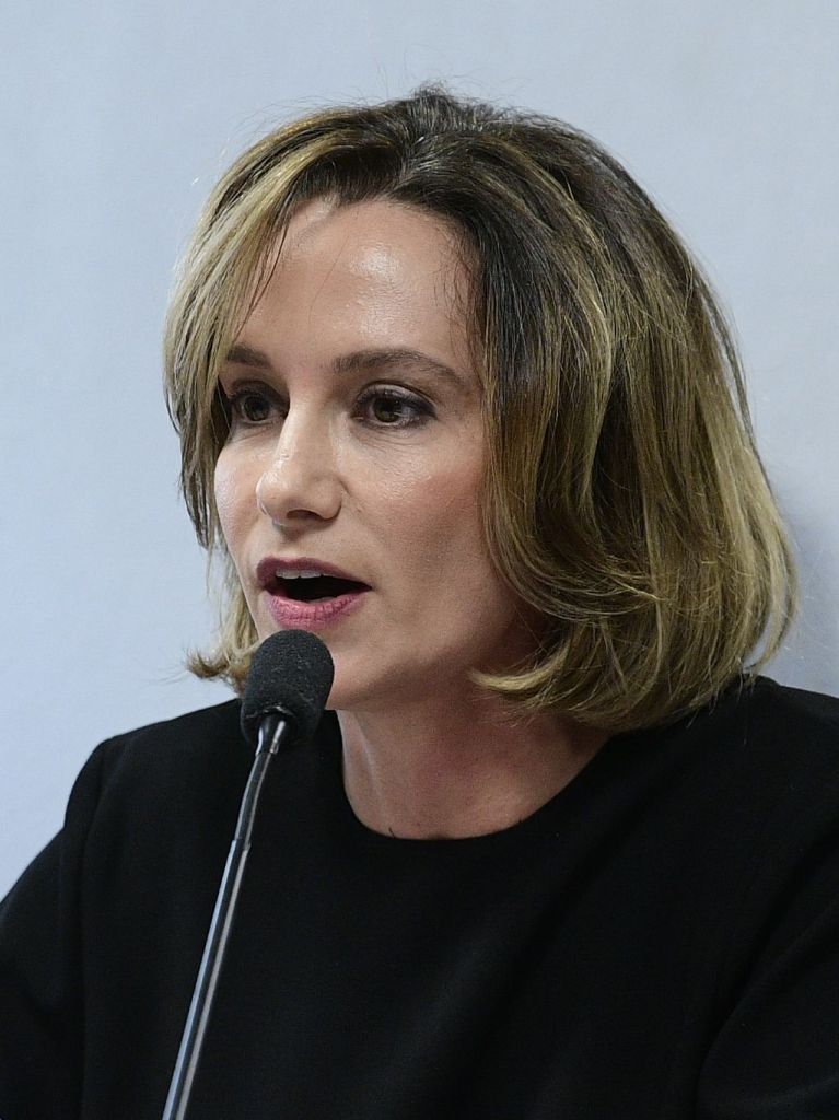 Carol Proner participa de audiência da Comissão de Constituição, Justiça e Cidadania (CCJ)