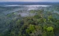 Cúpula da Amazônia reúne 15 países em Belém de olho em combate ao crime organizado