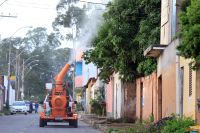 Falta inseticida para combater o mosquito Aedes aegypti no Brasil