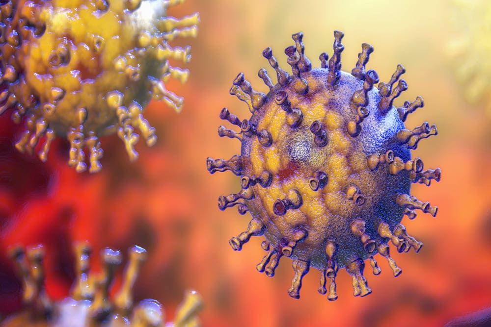Qual é a causa da herpes-zóster? 