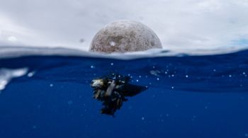 Cientistas descobriram um aumento “rápido e sem precedentes” na poluição plástica oceânica desde 2005